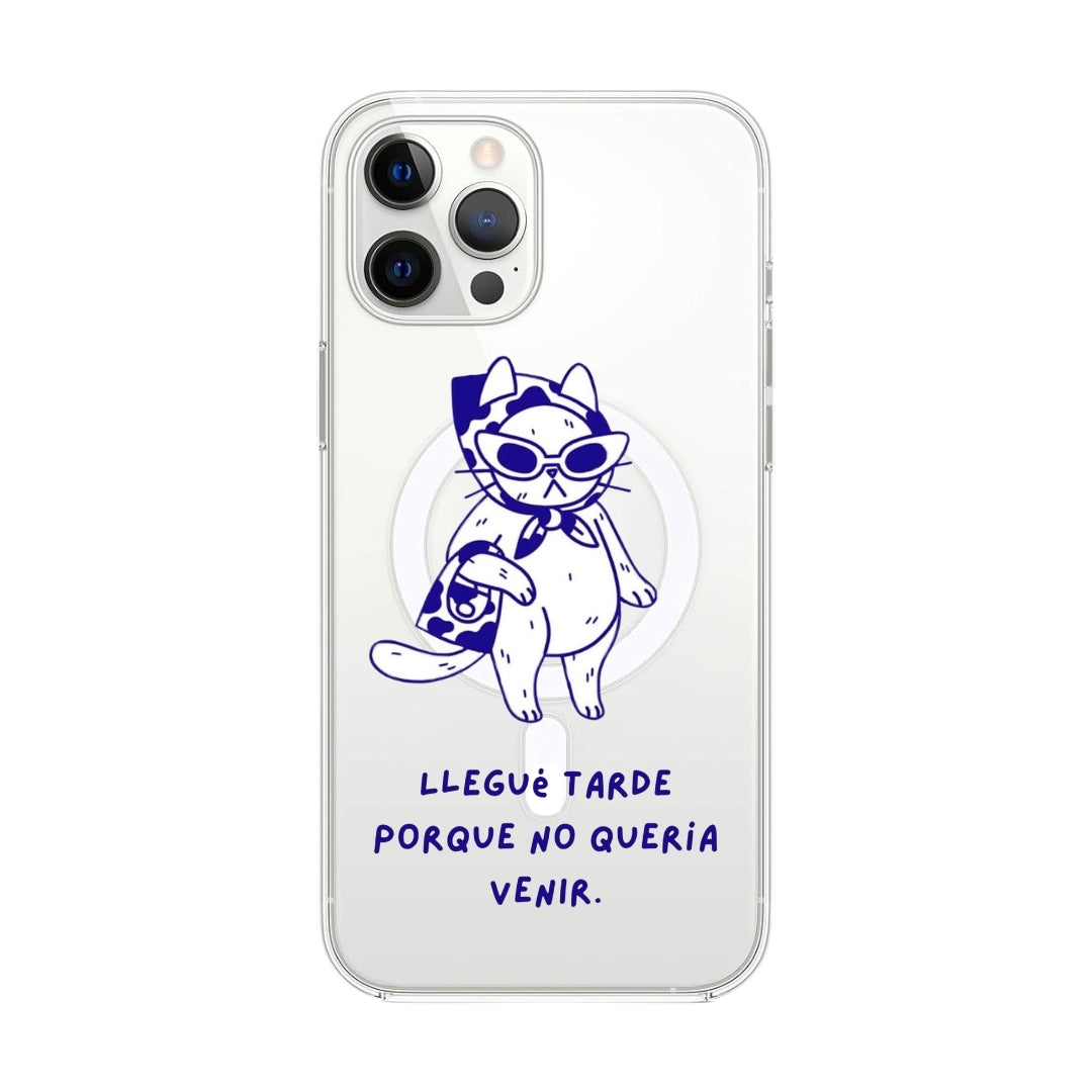 Case Gata Diva